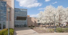 School of Dentistry building