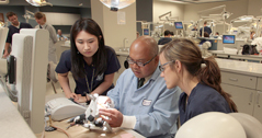 Dental students learning